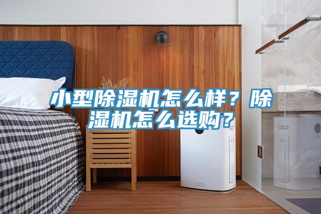 小型除濕機怎么樣？除濕機怎么選購？