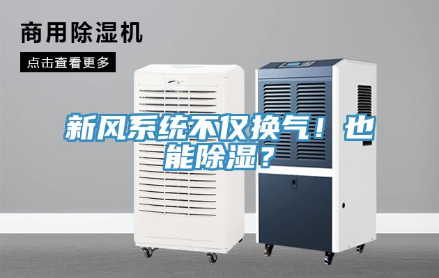 新風(fēng)系統(tǒng)不僅換氣！也能除濕？