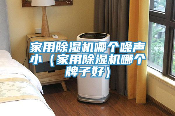家用除濕機(jī)哪個(gè)噪聲?。矣贸凉駲C(jī)哪個(gè)牌子好）