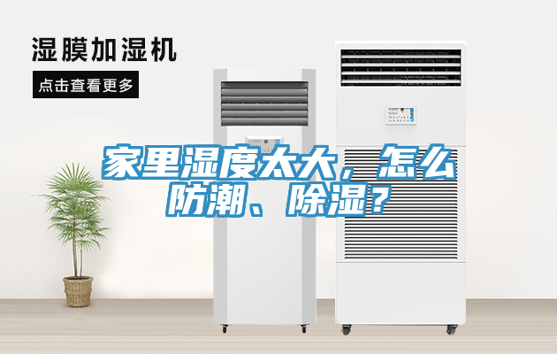 家里濕度太大，怎么防潮、除濕？