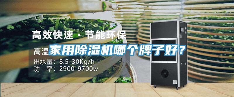 家用除濕機(jī)哪個(gè)牌子好？