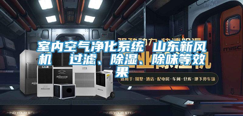室內(nèi)空氣凈化系統(tǒng) 山東新風機  過濾、除濕、除味等效果