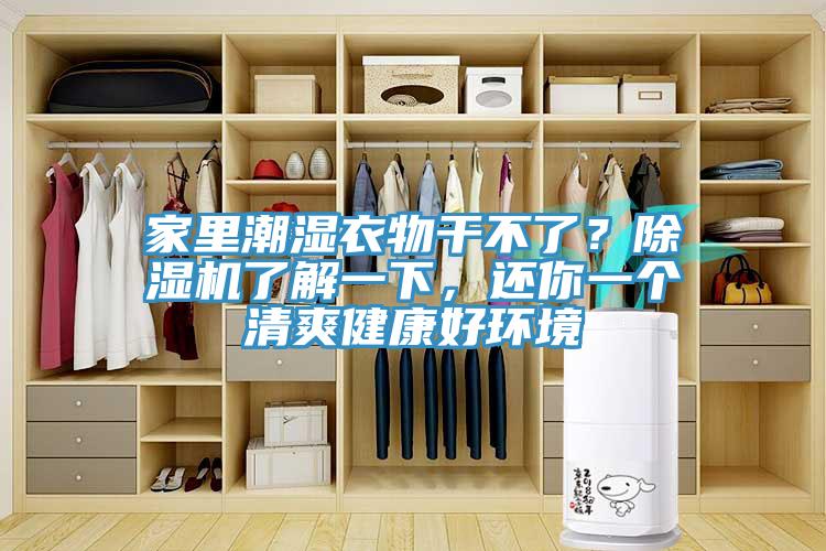 家里潮濕衣物干不了？除濕機(jī)了解一下，還你一個(gè)清爽健康好環(huán)境