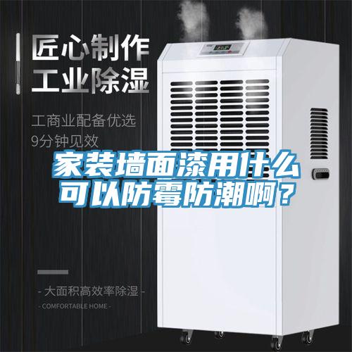 家裝墻面漆用什么可以防霉防潮啊？