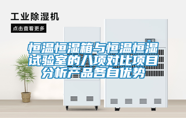 恒溫恒濕箱與恒溫恒濕試驗室的八項對比項目分析產品各自優(yōu)勢