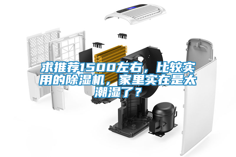 求推薦1500左右，比較實(shí)用的除濕機(jī)，家里實(shí)在是太潮濕了？
