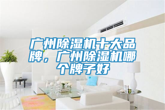 廣州除濕機(jī)十大品牌，廣州除濕機(jī)哪個牌子好