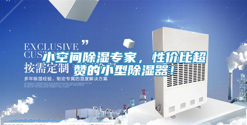小空間除濕專家，性價比超贊的小型除濕器！