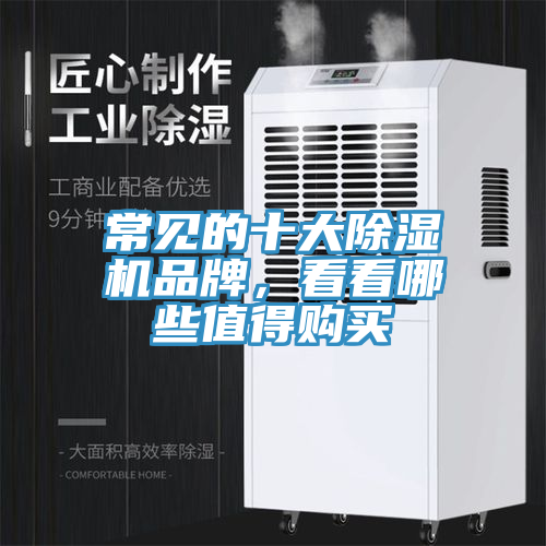 常見的十大除濕機品牌，看看哪些值得購買
