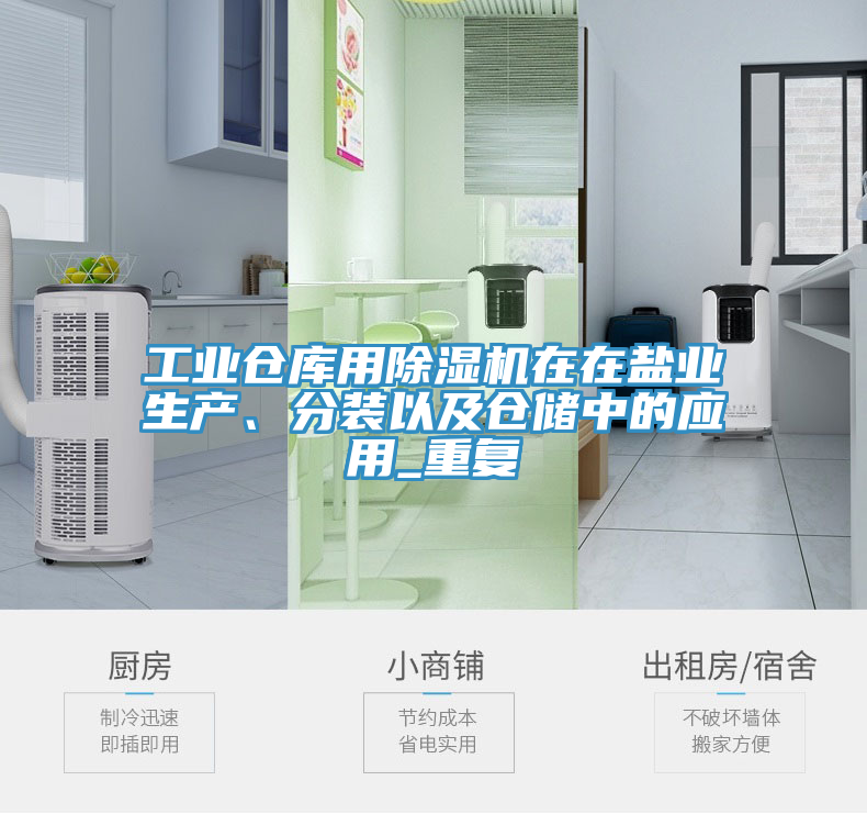 工業(yè)倉(cāng)庫(kù)用除濕機(jī)在在鹽業(yè)生產(chǎn)、分裝以及倉(cāng)儲(chǔ)中的應(yīng)用_重復(fù)