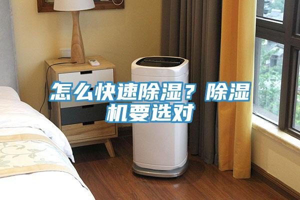 怎么快速除濕？除濕機(jī)要選對