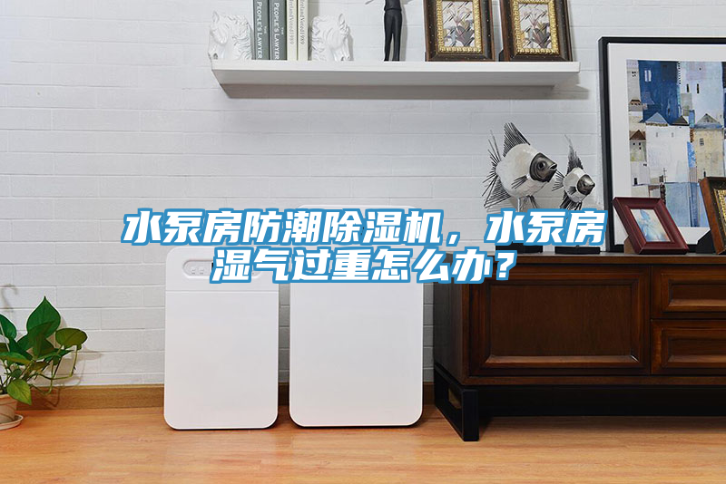 水泵房防潮除濕機(jī)，水泵房濕氣過重怎么辦？