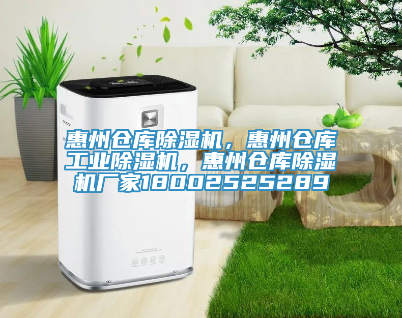 惠州倉(cāng)庫(kù)除濕機(jī)，惠州倉(cāng)庫(kù)工業(yè)除濕機(jī)，惠州倉(cāng)庫(kù)除濕機(jī)廠(chǎng)家18002525289