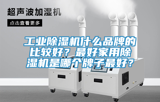 工業(yè)除濕機(jī)什么品牌的比較好？最好家用除濕機(jī)是哪個(gè)牌子最好？