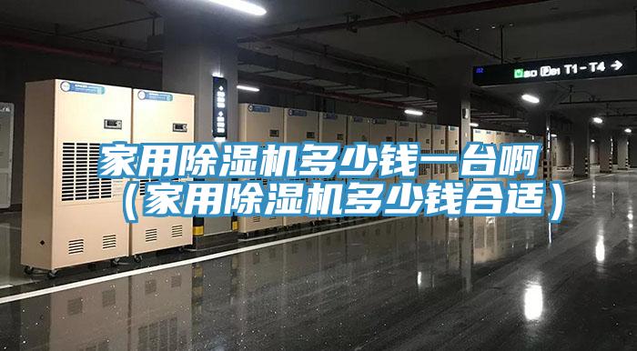 家用除濕機(jī)多少錢一臺(tái)?。矣贸凉駲C(jī)多少錢合適）