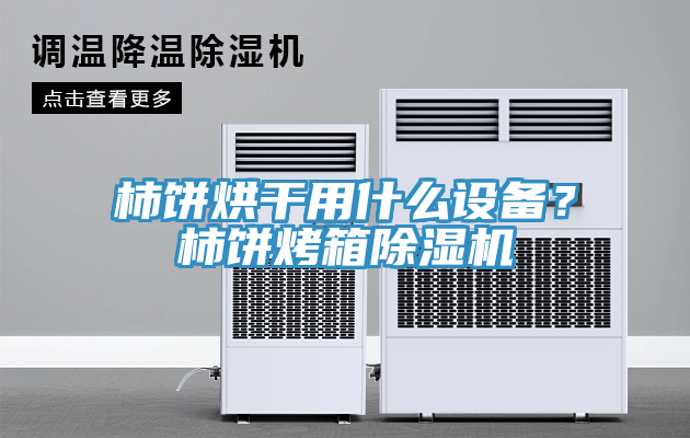柿餅烘干用什么設(shè)備？柿餅烤箱除濕機(jī)