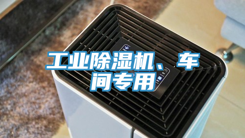 工業(yè)除濕機(jī)、車間專用