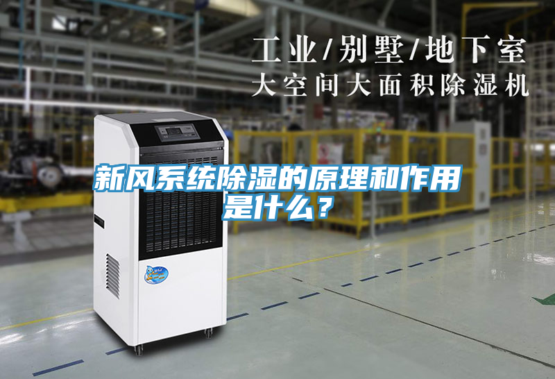 新風(fēng)系統(tǒng)除濕的原理和作用是什么？