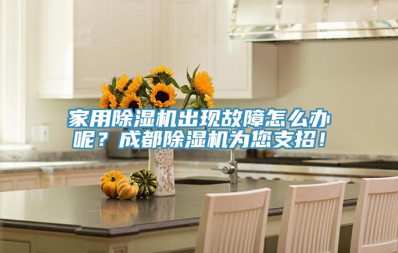 家用除濕機(jī)出現(xiàn)故障怎么辦呢？成都除濕機(jī)為您支招！