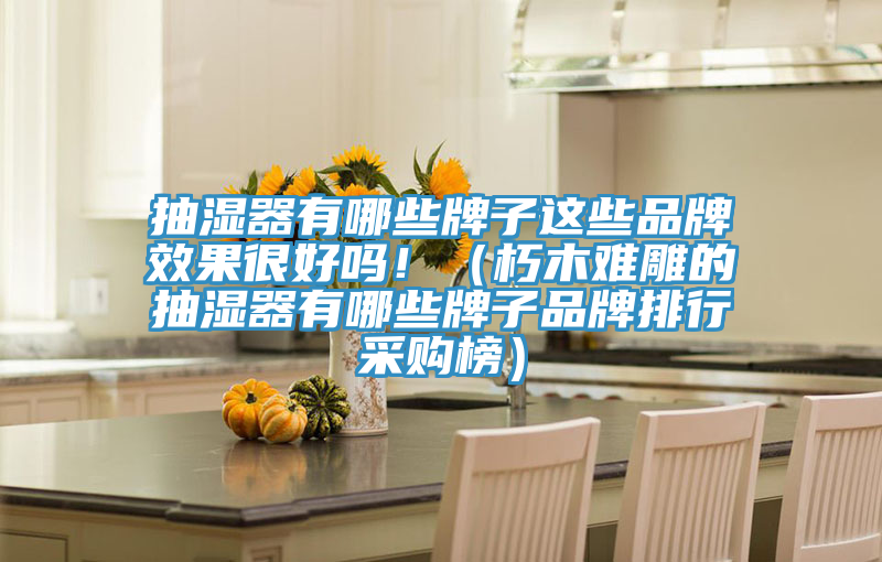 抽濕器有哪些牌子這些品牌效果很好嗎?。ㄐ嗄倦y雕的抽濕器有哪些牌子品牌排行采購(gòu)榜）