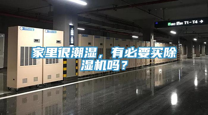 家里很潮濕，有必要買(mǎi)除濕機(jī)嗎？