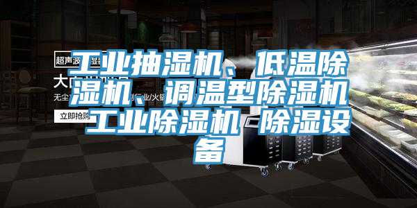 工業(yè)抽濕機(jī)、低溫除濕機(jī)、調(diào)溫型除濕機(jī) 工業(yè)除濕機(jī) 除濕設(shè)備