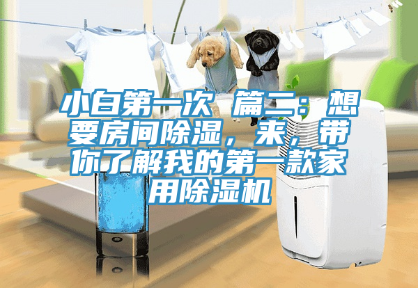 小白第一次 篇二：想要房間除濕，來，帶你了解我的第一款家用除濕機(jī)