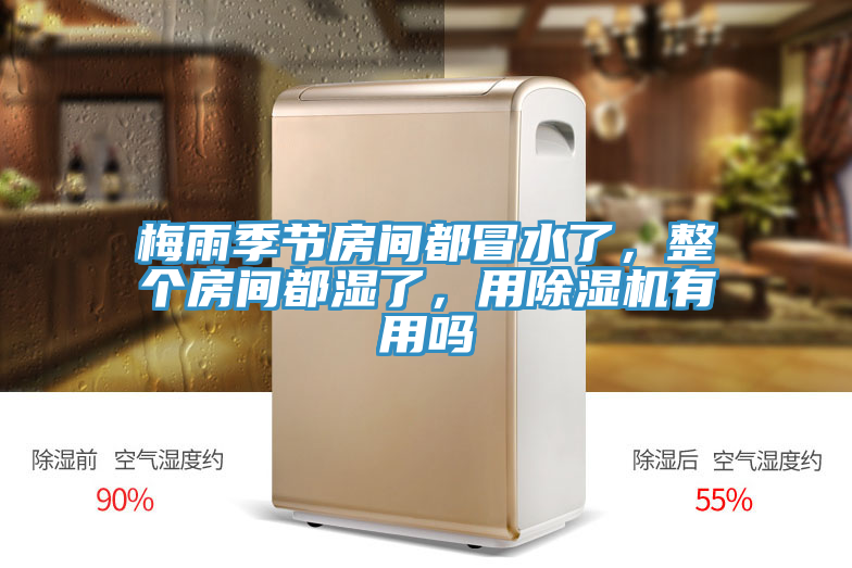 梅雨季節(jié)房間都冒水了，整個房間都濕了，用除濕機(jī)有用嗎