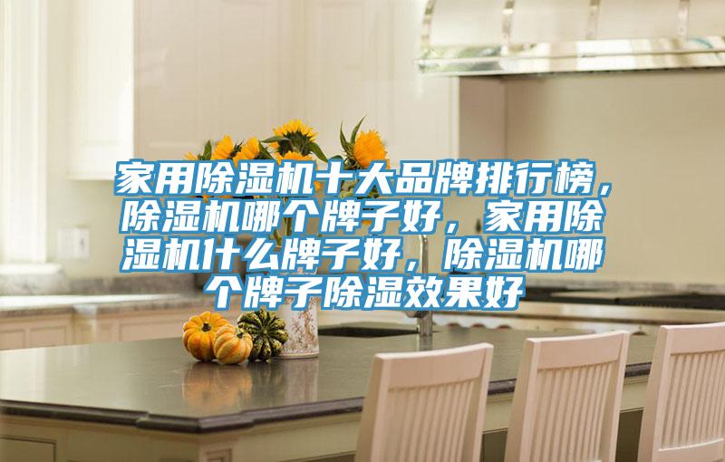 家用除濕機(jī)十大品牌排行榜，除濕機(jī)哪個(gè)牌子好，家用除濕機(jī)什么牌子好，除濕機(jī)哪個(gè)牌子除濕效果好