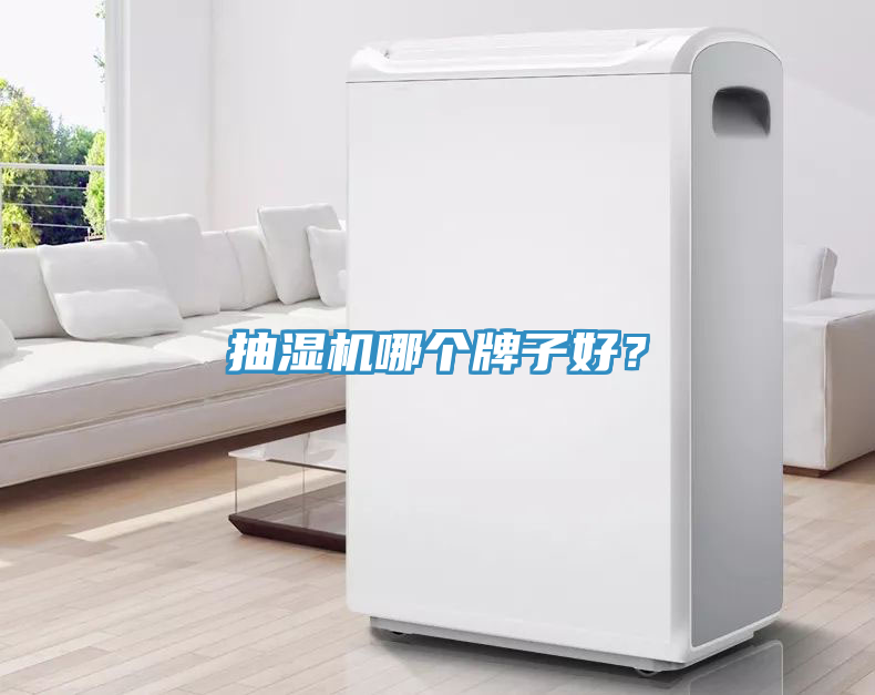 抽濕機(jī)哪個(gè)牌子好？