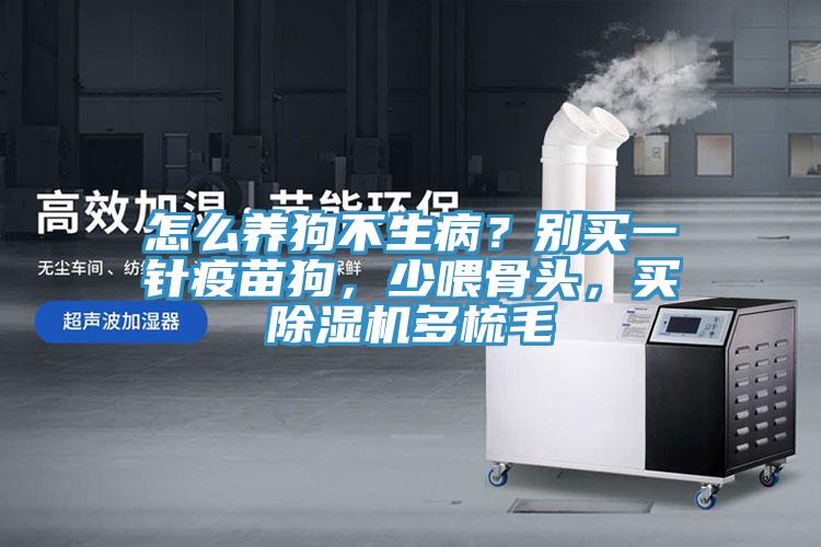 怎么養(yǎng)狗不生病？別買一針疫苗狗，少喂骨頭，買除濕機多梳毛