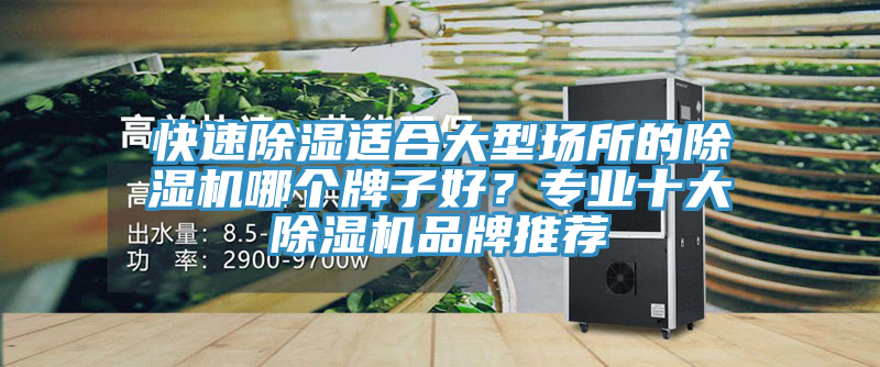 快速除濕適合大型場(chǎng)所的除濕機(jī)哪個(gè)牌子好？專業(yè)十大除濕機(jī)品牌推薦
