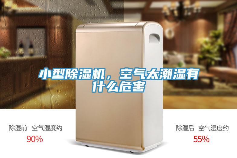 小型除濕機，空氣太潮濕有什么危害