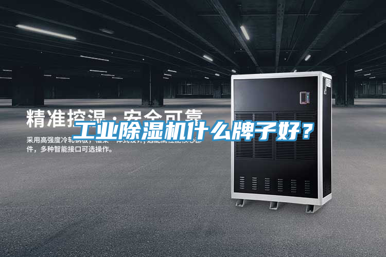 工業(yè)除濕機(jī)什么牌子好？