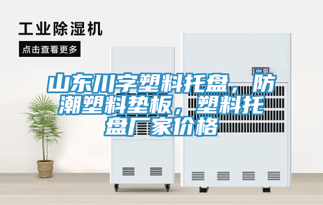 山東川字塑料托盤，防潮塑料墊板，塑料托盤廠家價(jià)格