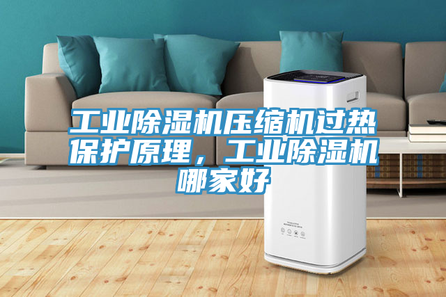 工業(yè)除濕機(jī)壓縮機(jī)過(guò)熱保護(hù)原理，工業(yè)除濕機(jī)哪家好