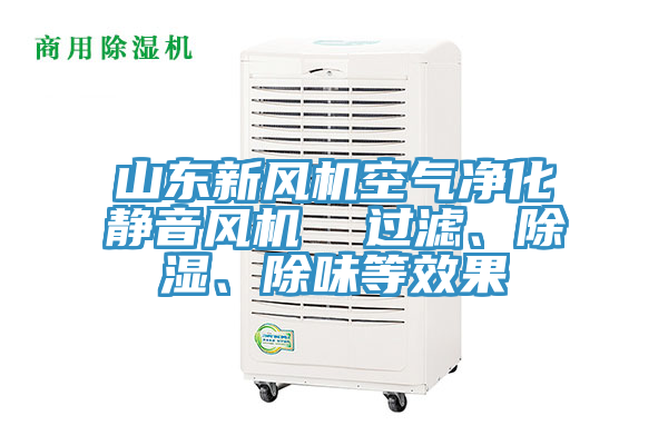 山東新風(fēng)機(jī)空氣凈化靜音風(fēng)機(jī)  過濾、除濕、除味等效果