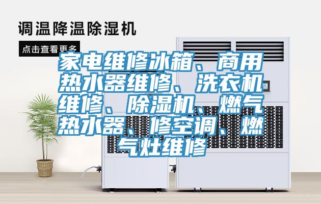 家電維修冰箱、商用熱水器維修、洗衣機(jī)維修、除濕機(jī)、燃?xì)鉄崴?、修空調(diào)、燃?xì)庠罹S修