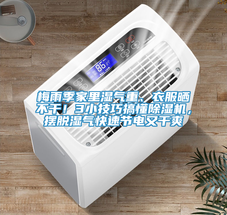 梅雨季家里濕氣重、衣服曬不干！3小技巧搞懂除濕機，擺脫濕氣快速節(jié)電又干爽