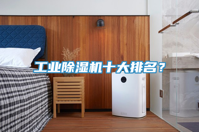 工業(yè)除濕機(jī)十大排名？