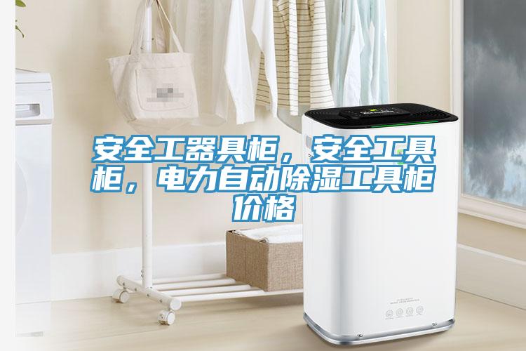 安全工器具柜，安全工具柜，電力自動除濕工具柜價格