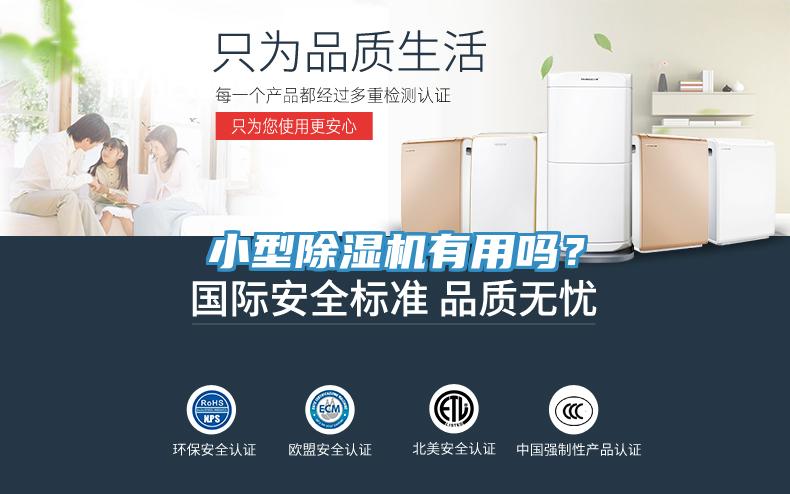 小型除濕機有用嗎？