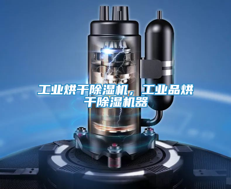 工業(yè)烘干除濕機(jī)，工業(yè)品烘干除濕機(jī)器