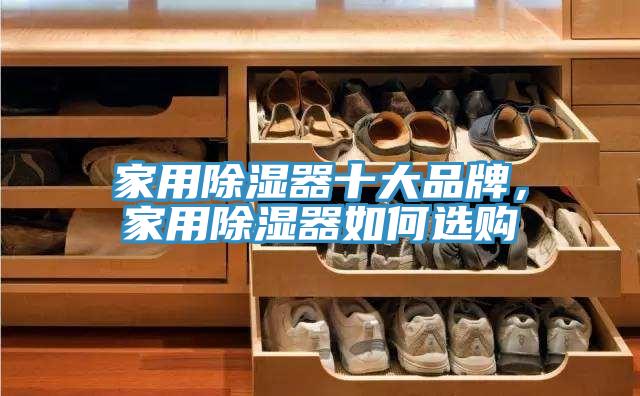 家用除濕器十大品牌，家用除濕器如何選購