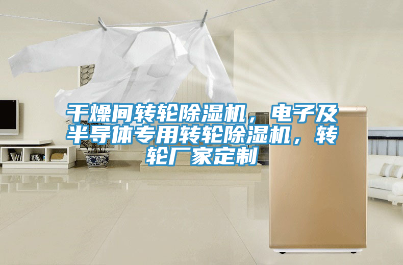 干燥間轉(zhuǎn)輪除濕機(jī)，電子及半導(dǎo)體專用轉(zhuǎn)輪除濕機(jī)，轉(zhuǎn)輪廠家定制