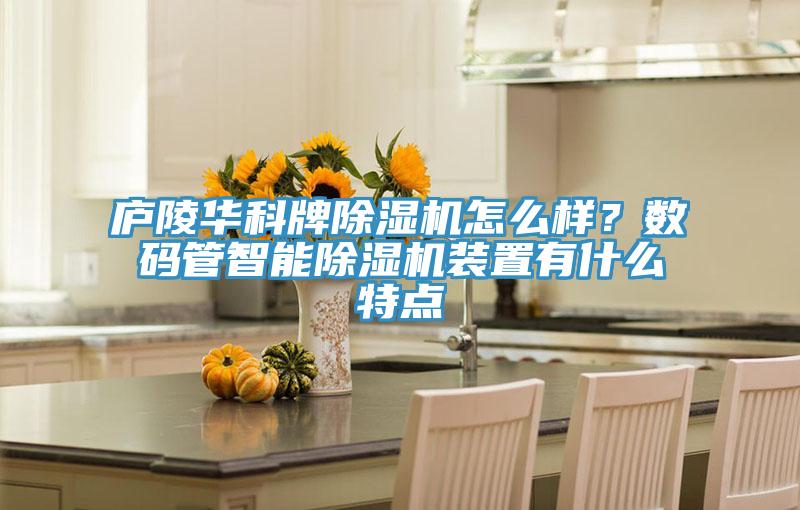 廬陵華科牌除濕機(jī)怎么樣？數(shù)碼管智能除濕機(jī)裝置有什么特點(diǎn)