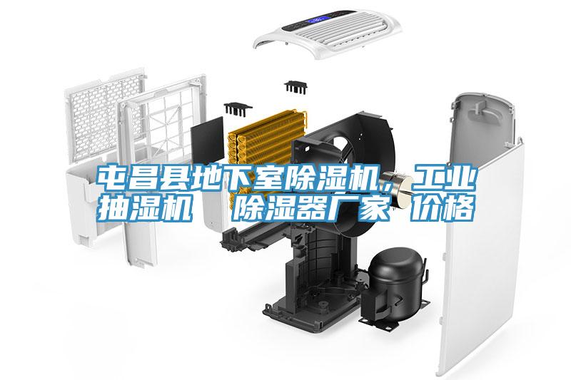 屯昌縣地下室除濕機，工業(yè)抽濕機  除濕器廠家 價格
