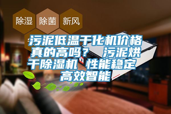 污泥低溫干化機(jī)價(jià)格真的高嗎？ 污泥烘干除濕機(jī) 性能穩(wěn)定 高效智能