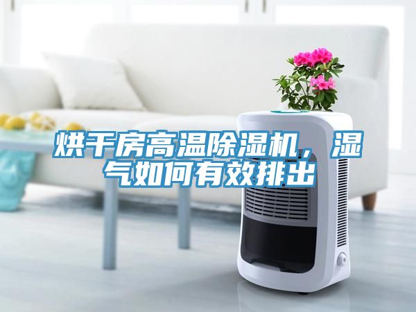 烘干房高溫除濕機(jī)，濕氣如何有效排出