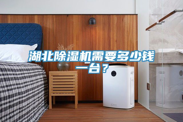 湖北除濕機(jī)需要多少錢一臺(tái)？